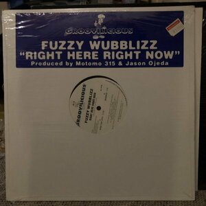 Fuzzy Wubblizz / Right Here Right Now