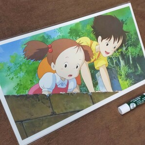 スタジオジブリ　となりのトトロ　レイアウト　カレンダー　切抜　検)ジブリ　ポストカード　ポスター　原画　セル画　宮崎駿　GHIBLI　m