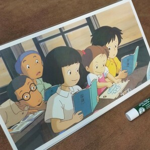 スタジオジブリ　となりのトトロ　レイアウト　カレンダー　切抜　検)ジブリ　ポストカード　ポスター　原画　セル画　宮崎駿　GHIBLI　a