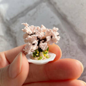 Art hand Auction Bonsái en miniatura de cerezo hecho a mano [placa], trabajos hechos a mano, interior, bienes varios, ornamento, objeto