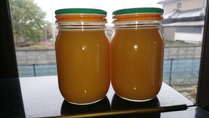 日本蜜蜂 蜂蜜 2瓶 令和５年３月採蜜 1047.8g