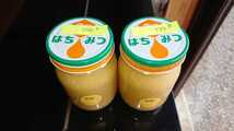 日本蜜蜂 蜂蜜 2瓶 令和５年３月採蜜 1047.6g_画像6