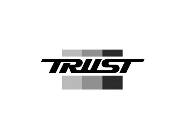 TRUST トラスト GReddy ボルトオンターボキット専用オイルパン スイフトスポーツ ZC32S 2011年12月～2016年12月