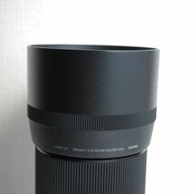 SIGMA Art 105mm F2.8 DG DN MACROライカLマウント シグマ マクロ 等倍_画像9