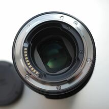 SIGMA Art 105mm F2.8 DG DN MACROライカLマウント シグマ マクロ 等倍_画像8