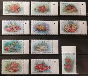 セントキッツ 海洋生物(15種) MNH