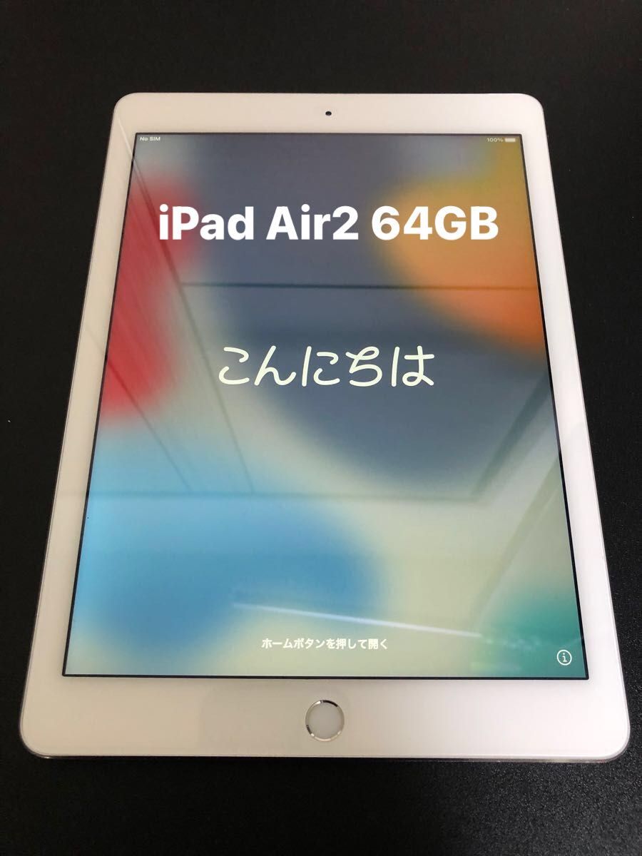 iPad mini3 16GB wifi+セルラーモデル 管理番号：0835 通販