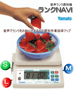  free shipping *yamato Yamato made .yama trunk navi NAVI UDS-1VN-R2-15* scales amount 15kg sound rank selection another measuring mandarin orange, apple etc.. weight selection another .