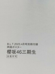 325 櫻坂46 三期生　両面ポスター B.L.T.