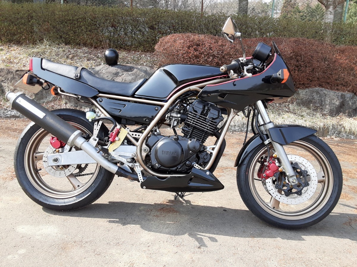 ヤフオク! -fzr250 車体の中古品・新品・未使用品一覧