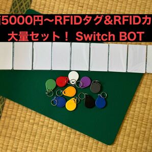 未使用 RFIDタグ キーホルダー 薄型カード 電子工作 Switch BOT Card マジック