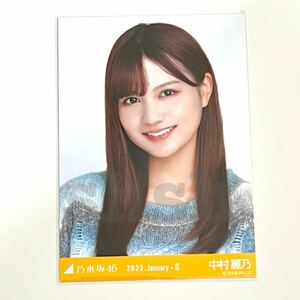 《乃木坂46》公式グッズ 生写真 中村麗乃　ヨリ　1枚 マルチカラーニット 2023 january (ここにはないもの