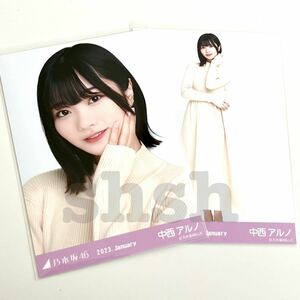 《乃木坂46》公式グッズ 生写真 2枚 中西アルノ　セミコンプ リブチェンジワンピース 2023 january (ここにはないもの ヨリヒキ