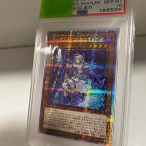 シェイレーン psa10