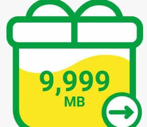 mineo パケットギフト 10GB(9999MB)