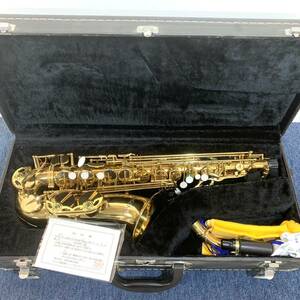 SWORDso-do alto saxophone SW501 G909816 sax hard case alto saxophone 