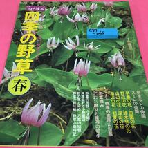 C57-065 別冊 山と溪谷 四季の野草/春 昭和55年5月20日発行 野生ランの仲間 スミレの仲間_画像1