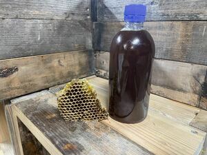 残りわずか　超高濃度　日本ミツバチ　誘引液　日本蜜蜂　分蜂　即決に限り　巣碑付き　500g キンリョウヘン　待ち箱ルアー　①
