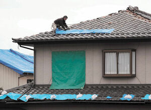  Mito город. покраска . крыша строительные работы наружная стена покраска (. цубо 30 если 78 десять тысяч иен ) леса плата * дерево часть * дождь .* мойка включая Япония краска .. акция средний 