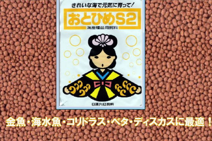 おとひめS-2(10kg) 100023 住まい、インテリア ペット用品 魚、水草 ...