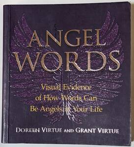 言葉の力を可視化「Angel Words」Visual Evidence of How Words Can Be Angels in Your Life/英語/ポジティブ/ネガティブ/天使