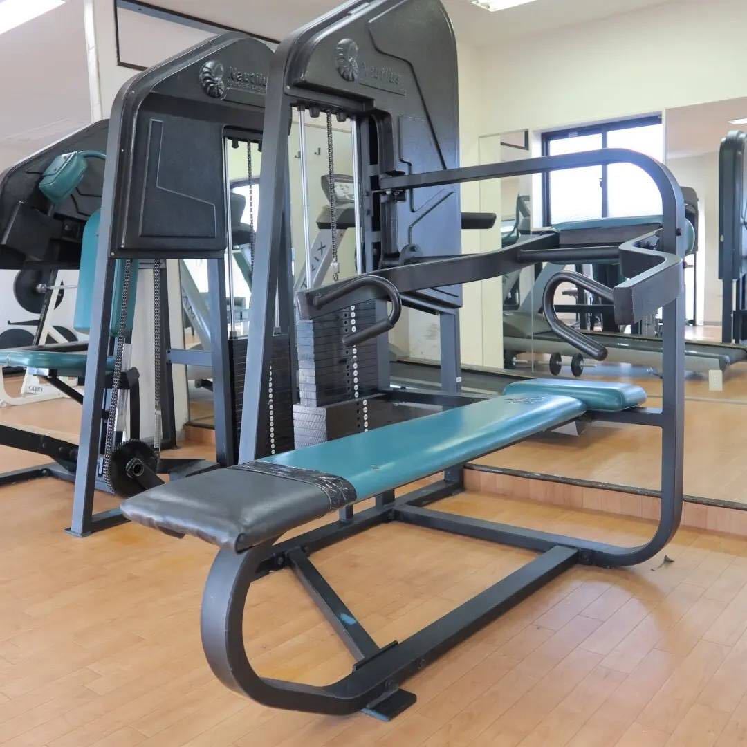 CYBEX カーフレイズ プレートローディング /ベンチプレス ハンマー ...