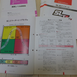 ★新品 送料無料 即決 超希少 研修ツール リーダーシップ SLⅡ理論 ケンブランチャード 講師&コーチ&コンサルタント&ファシリテーター向け