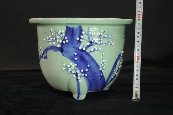 ヤフオク! -瀬戸(鉢)の中古品・新品・未使用品一覧