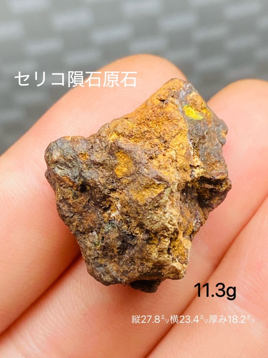 スタイルズ(STYLES) パラサイト隕石 232g セリコ隕石原石 希少 Big