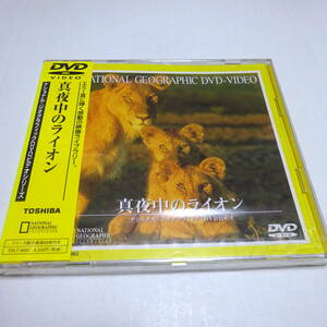 未開封DVD「真夜中のライオン」ナショナル・ジオグラフィック