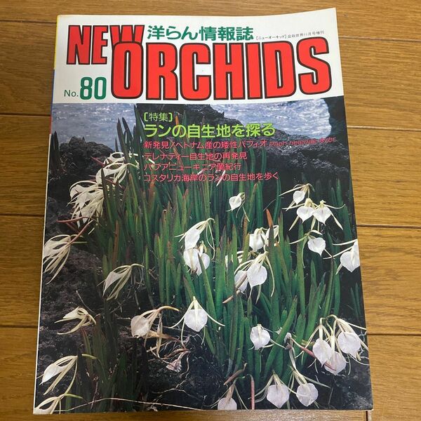 洋らん情報誌　ニューオーキッドNo.80特集ランの自生地を探る