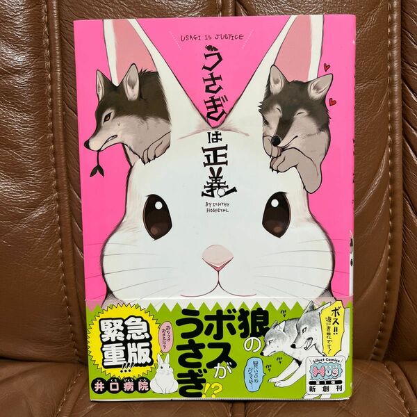 うさぎは正義　井口病院　