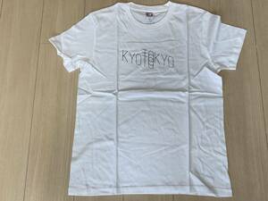 アナログフィッシュ 聖地巡礼 KYOTO TO TOKYO 2019 Tシャツ 半袖 M 白 検:Analogfish ホワイト White フラワーカンパニーズ SCOOBIE DO