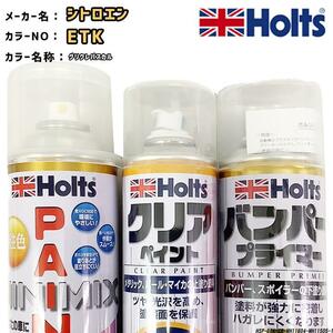 ペイントスプレー シトロエン ETK グリクレパスカル Holts MINIMIX クリアスプレー バンパープライマー セット