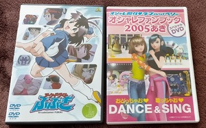 「アーケードゲーマーふぶき1」「アーケードゲーマーふぶき1」 中古 DVD　　２本セット　 送料無料　　837