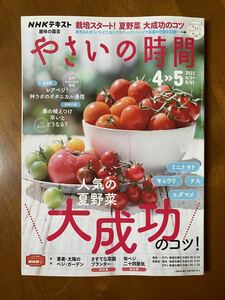 雑誌　「NHKテキスト　やさいの時間」　2022年4月～5月　夏野菜大成功のコツ　すてきな菜園プランター