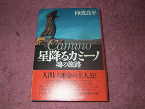 星降るカミーノ 魂の旅路　北スペインにある巡礼道「サンティアゴの道」。約800kmの行程を35日間かけて歩き通した感動の手記。