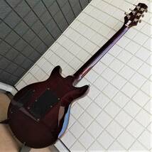 ■Bacchus BDC-900T SB バッカス ダブルカッタウェイ サンバースト Gibson ギブソン Epiphone エピフォン B'z 松本孝弘 Tak Matsumoto_画像6