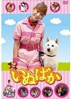 映画 いぬばか レンタル落ち 中古 DVD