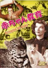 赤ちゃん教育【字幕】 レンタル落ち 中古 DVD