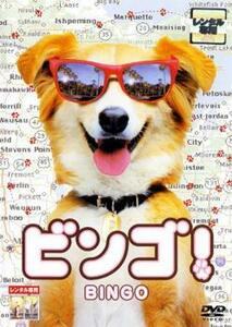 ビンゴ! レンタル落ち 中古 DVD