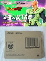 多数出品同梱OK S.H.Figuarts ドラゴンボール 人造人間16号 輸送箱未開封 フィギュアーツ 魂ウェブ商店 プレミアムバンダイ限定_画像1