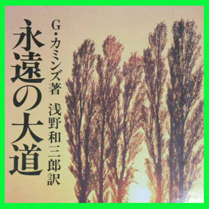 永遠の大道 本文復刻版 著:カミンズ ジェラルディン Cummins Geraldine 訳:浅野和三郎 不思議世界/夢幻界/意識/色彩界/類魂/光焔界/光明界/