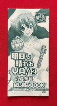 明日も晴れるYA!②/九暮華麗／氷室の天地②/磨伸映一郎・TYPE-MOON 試し読みBOOK 一迅社 非売品 当時モノ 希少　A12822_画像1