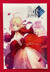 ゲーマーズ Fate／EXTRA フェイト／エクストラ ポストカード 店頭販促用 非売品 当時モノ 希少 A12785