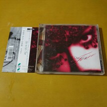 『ラルク・アン・シエル/トゥルー』中古CD L'Arc～en～Ciel True 風にきえないで flower Lies and Truth_画像1