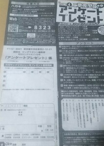 沢口愛華 応募用紙 月刊ヤングマガジン 4号 QUOカード