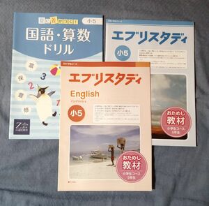 Z会 小5　未記入　お試し教材　エブリスタディ