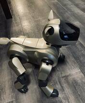 SONY AIBO ERS-210_画像6