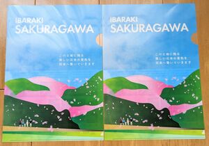 ◆新品未使用◆クリアファイル　２枚セット　桜川市　茨城県